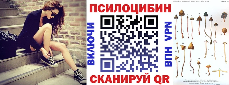 Галлюциногенные грибы GOLDEN TEACHER  Камызяк 